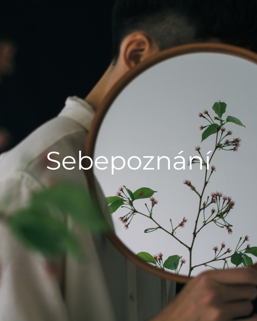 23 Muž drží zrcadlo přes hlavu a v odrazu jdou vidět zelené květy a přes to slovo Sebepoznání