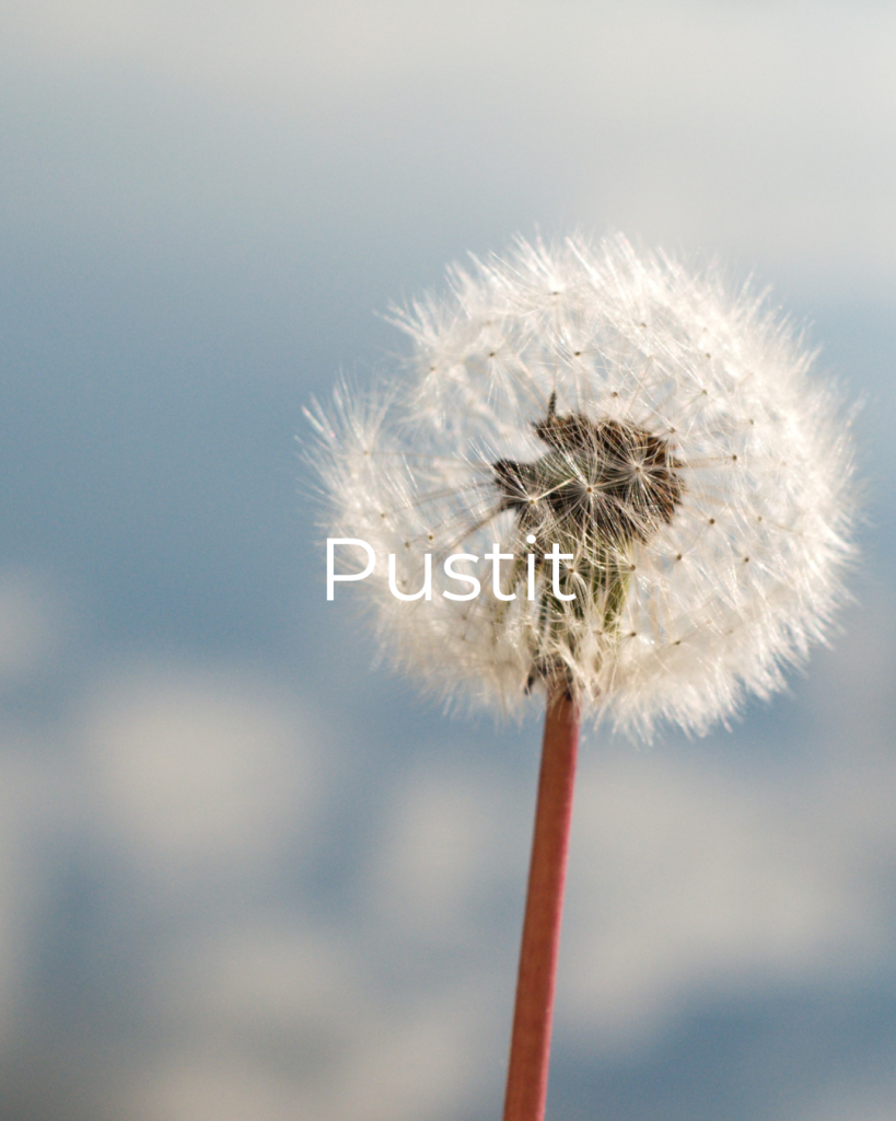 9 Pampeliška s bílým chmířím a přes to nápis Pustit